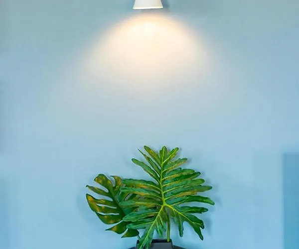 Navona 49 Luxury Suites&apartment 4*