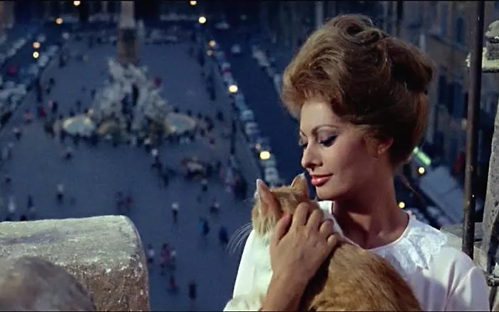 Navona 49 Luxury Suites&apartment 게스트하우스